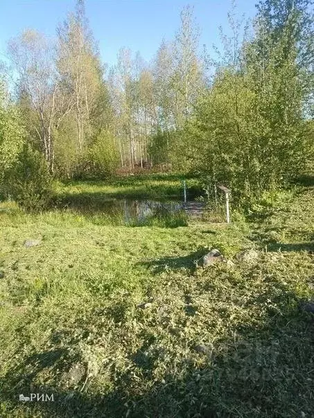 Дом в Вологодская область, Череповецкий район, Югское муниципальное ... - Фото 0