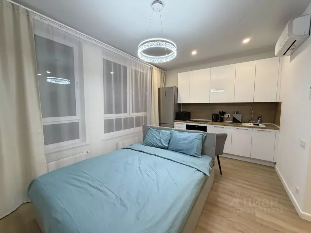 Студия Москва пер. Любучанский, 1к1 (25.0 м) - Фото 2