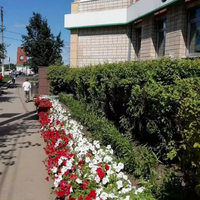 Офис в Удмуртия, Камбарка ул. Ленина, 60 (100 м) - Фото 2