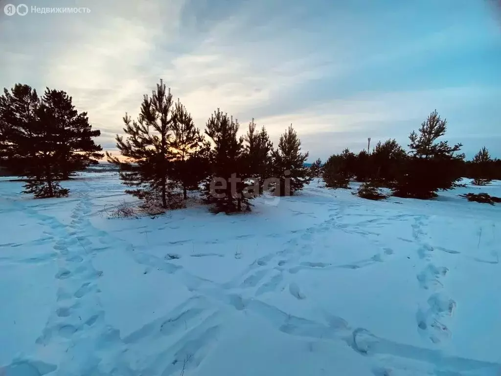Участок в Читинский район, село Карповка, Мирная улица (15 м) - Фото 1