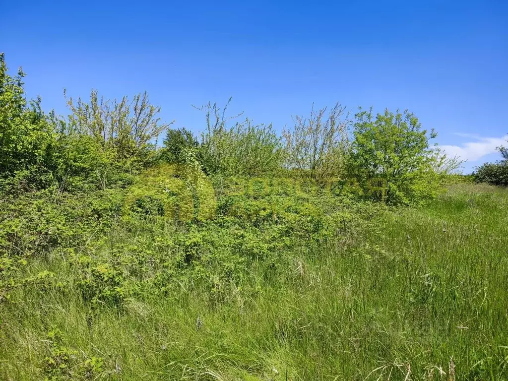 Участок в Краснодарский край, Темрюк Труженик СНТ, ул. Летняя (7.7 ... - Фото 2