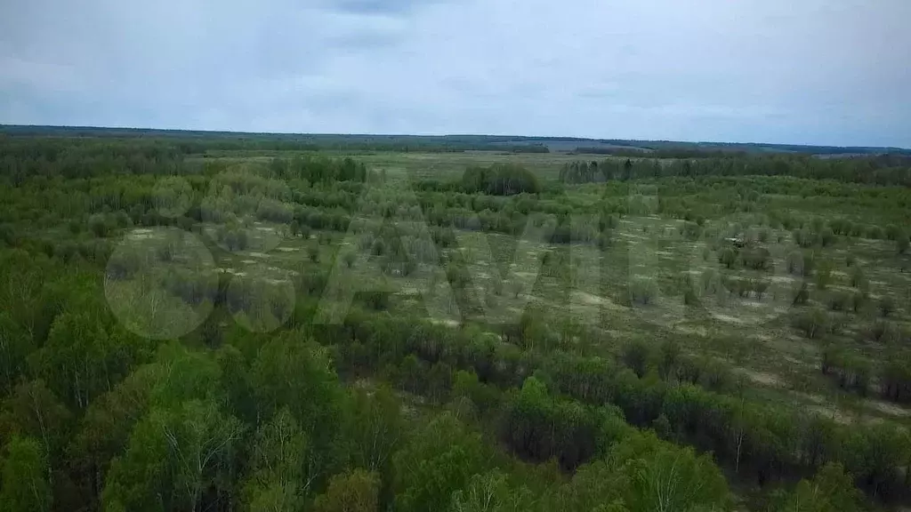 Участок 10 сот. (ИЖС) - Фото 1