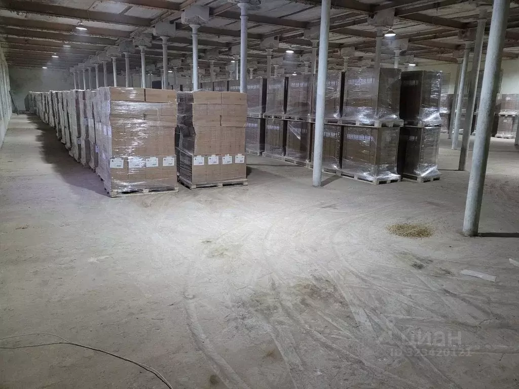 Склад в Владимирская область, Струнино г. Александровский ... - Фото 2