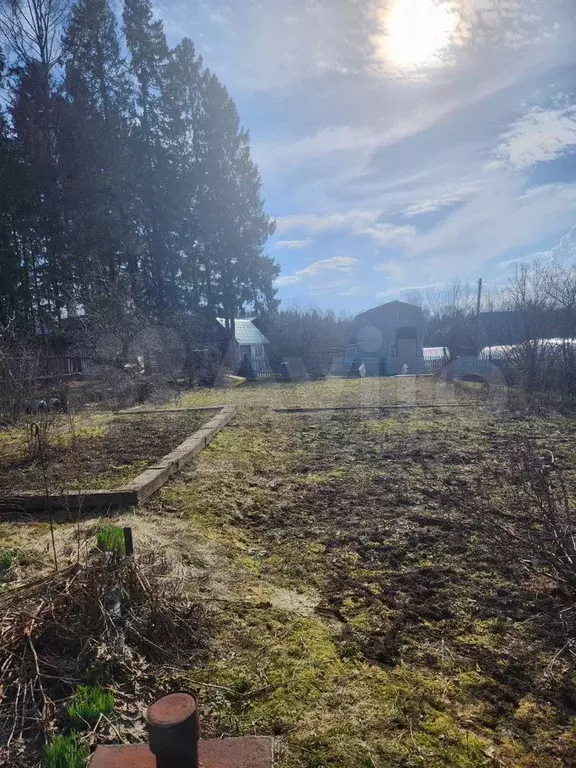 Участок 6 сот. (СНТ, ДНП) - Фото 1