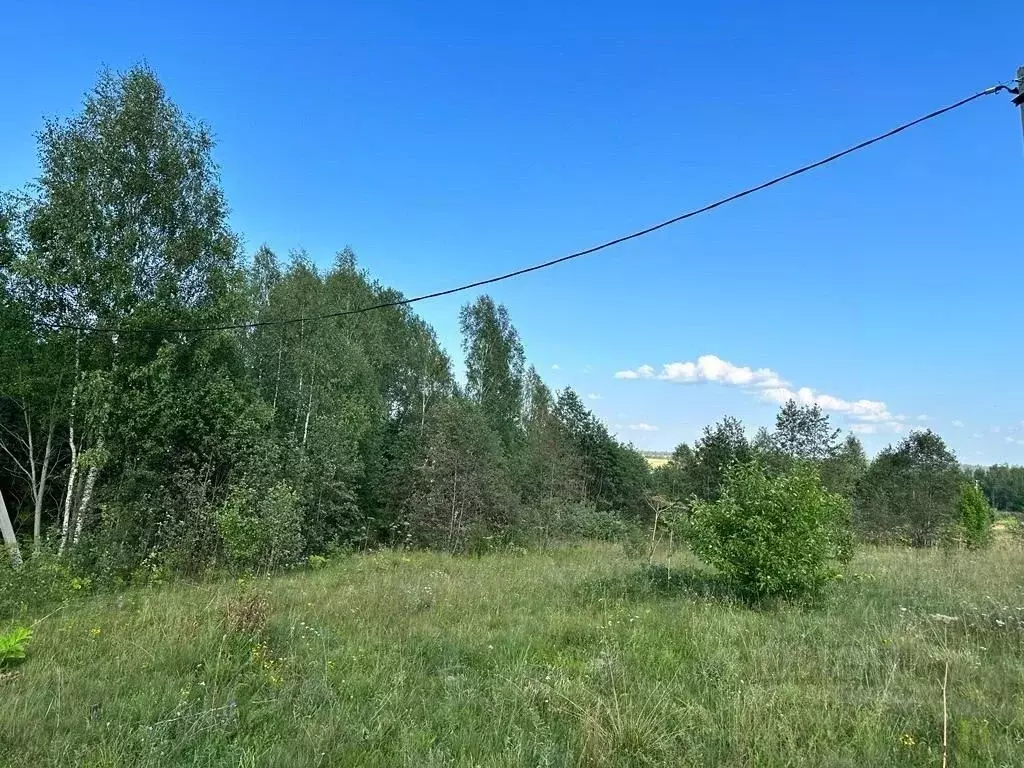 Участок в Московская область, Рузский муниципальный округ, д. Барынино ... - Фото 2