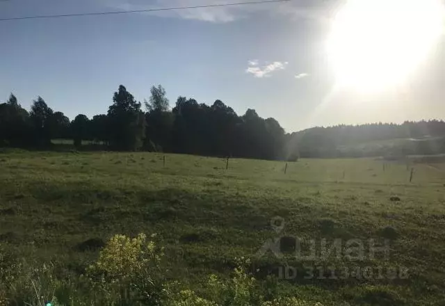 Участок в Калужская область, Боровский муниципальный округ, д. Тюнино  ... - Фото 2