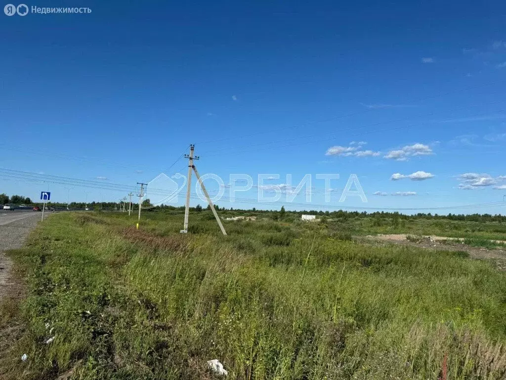Участок в СНТ Березняки (6 м) - Фото 0
