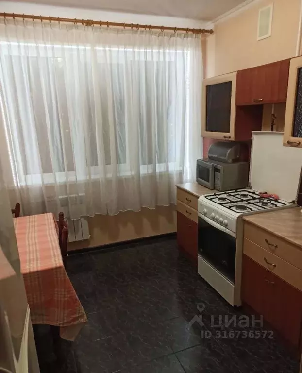 1-к кв. Нижегородская область, Нижний Новгород Мещерское Озеро ... - Фото 2