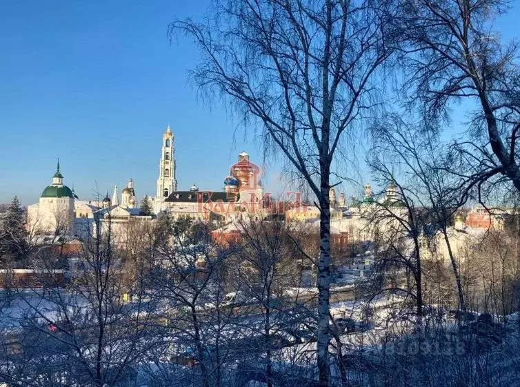 Комната Московская область, Сергиев Посад ул. 1-я Рыбная, 3 (22.5 м) - Фото 1