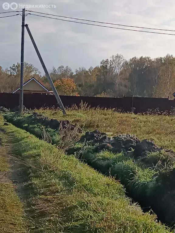 Участок в Сосновский район, Алишевское сельское поселение, село ... - Фото 0