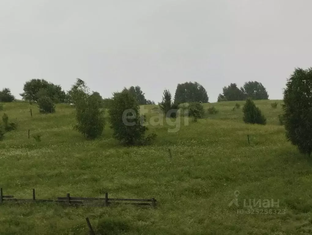 Участок в Алтай, Майминский район, с. Кызыл-Озек ул. С.С. Суразакова, ... - Фото 1