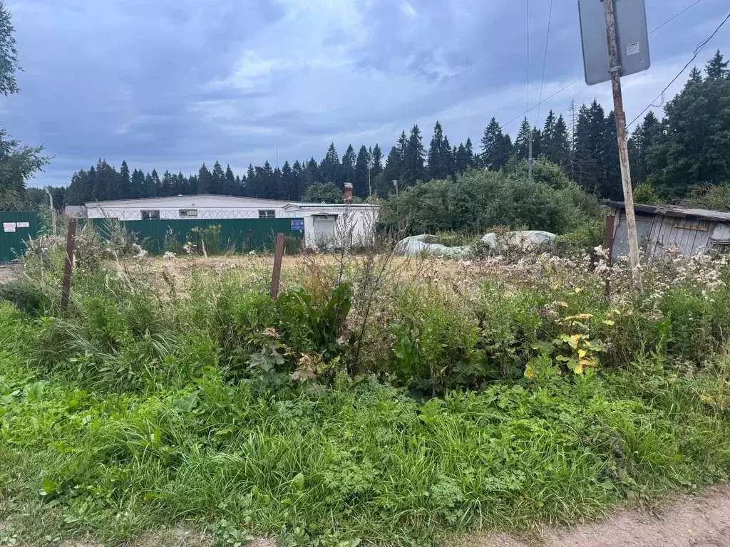 Участок в Московская область, Дмитровский муниципальный округ, пос. ... - Фото 1