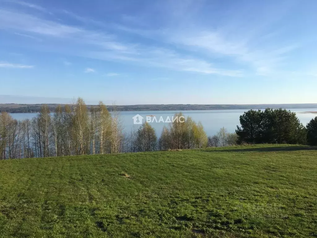 Участок в Пензенская область, Шемышейский район, Старояксарский ... - Фото 1