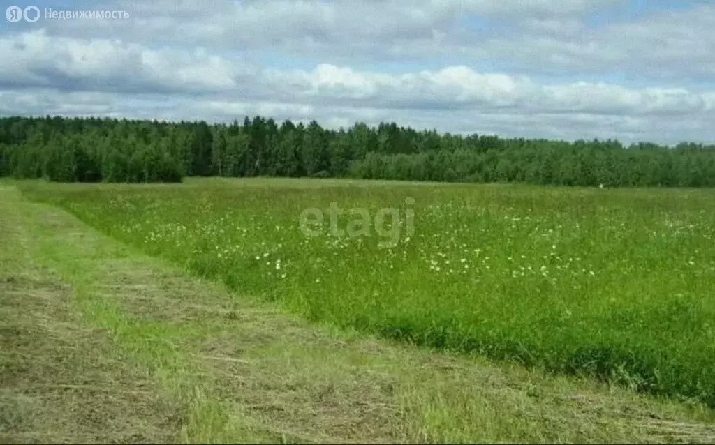 Участок в Казадаевка, Звёздная улица (8 м) - Фото 1