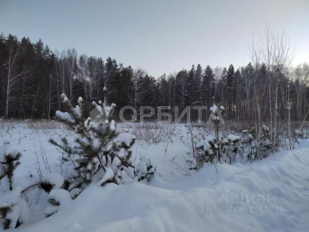 Участок в Тюменская область, Тюменский район, д. Якуши  (12.4 сот.) - Фото 1