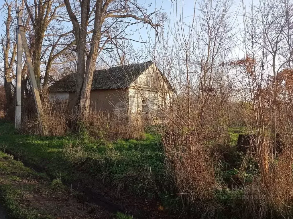 Участок в Краснодарский край, Каневское с/пос, Бурсаки хут.  (44.0 ... - Фото 1