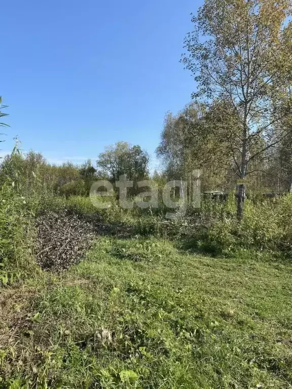 Участок в Тюменская область, Тюменский район, Лесник-2 СНТ  (13.42 ... - Фото 1