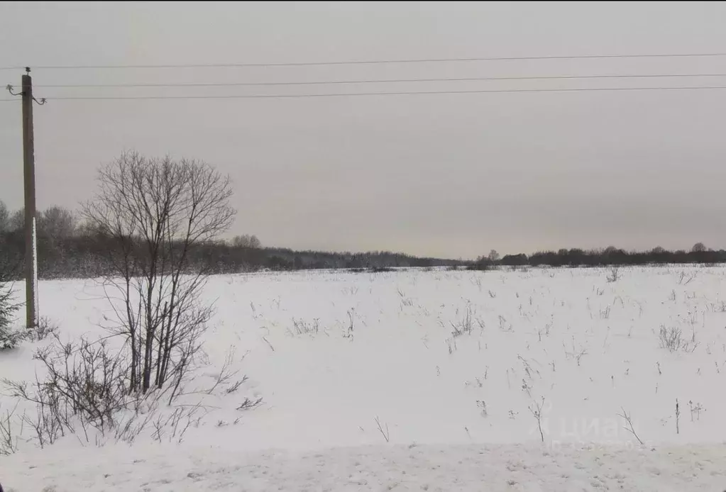 Участок в Ярославская область, Большесельский муниципальный округ, ... - Фото 1