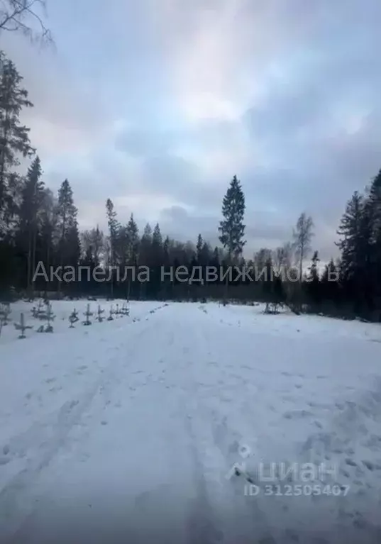 Участок в Московская область, Истра муниципальный округ, д. Ермолино  ... - Фото 1