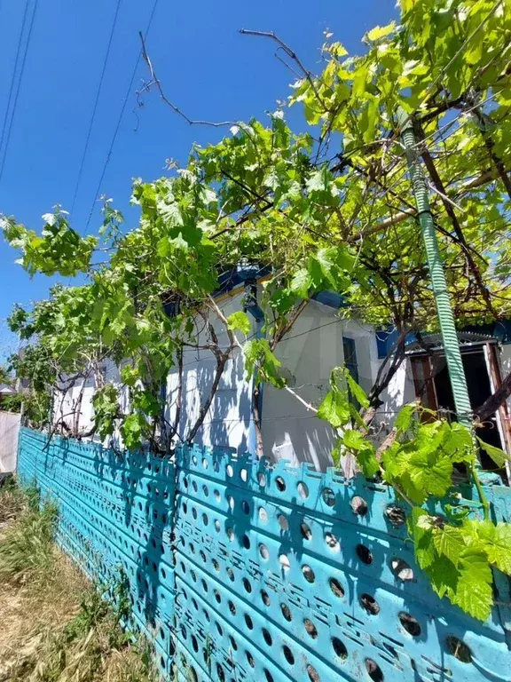 Дом 59 м на участке 4 сот. - Фото 0