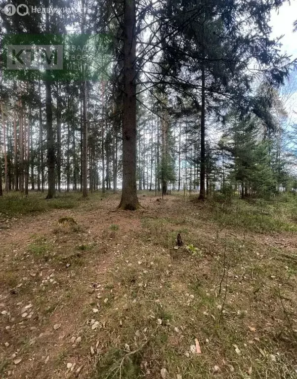 Участок в Ленинградская область, Всеволожское городское поселение (70 ... - Фото 0