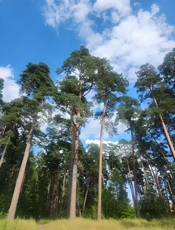 Участок в Тульская область, Алексин городской округ, с. Бунырево  (7.0 ... - Фото 0