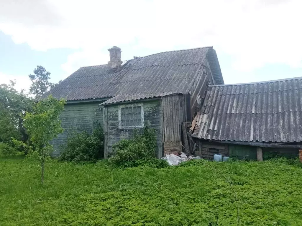 Дом в Новгородская область, Чудовский район, Грузинское с/пос, д. ... - Фото 1