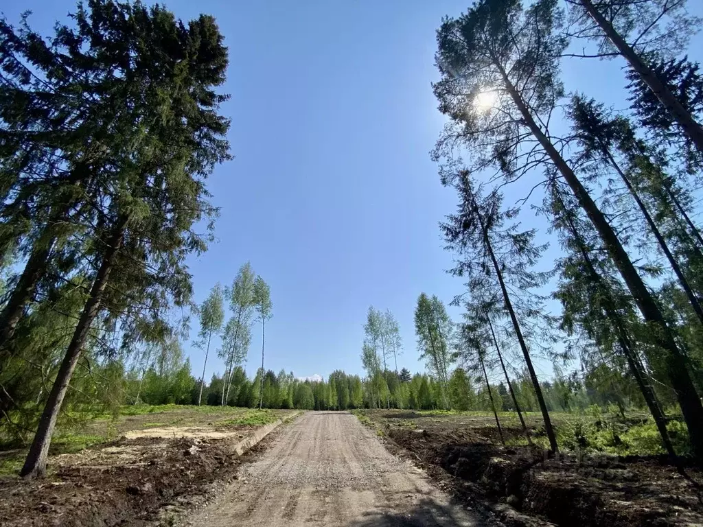 Участок в Ленинградская область, Тосненский район, Любанское городское ... - Фото 0
