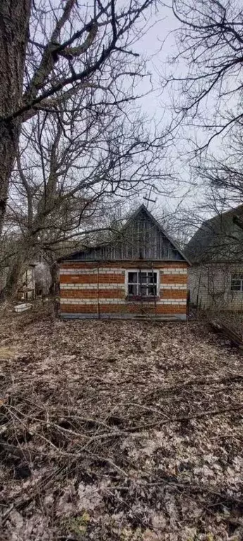 Участок в Белгородская область, Белгородский район, с. Стрелецкое, ... - Фото 0