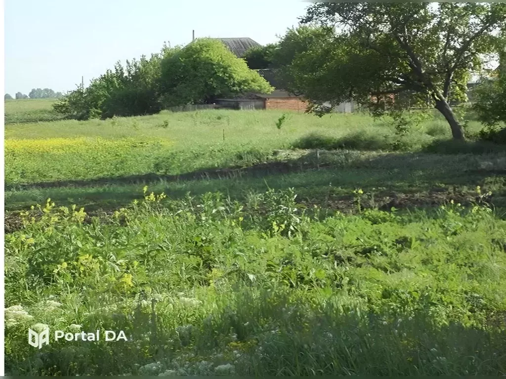 Участок в Краснодарский край, Усть-Лабинский район, Вимовское с/пос, ... - Фото 2