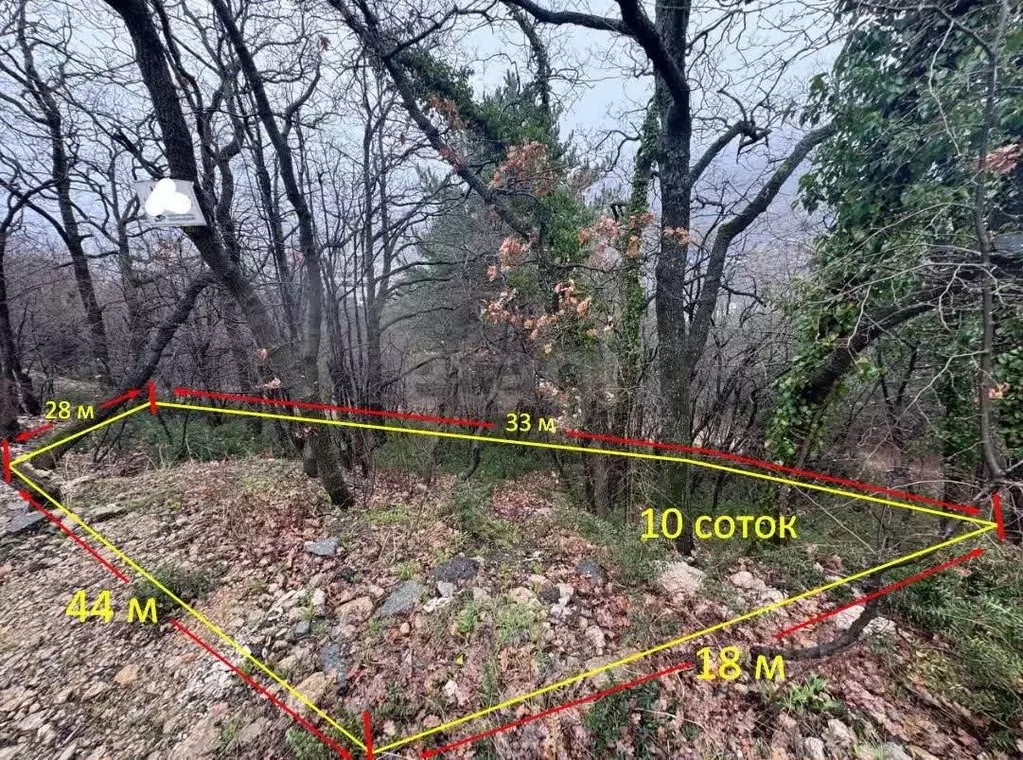 Участок в Крым, Ялта ш. Южнобережное (10.0 сот.) - Фото 1