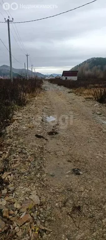 Участок в Майминский район, посёлок Филиал, улица А.Н. Муратова (10 м) - Фото 2