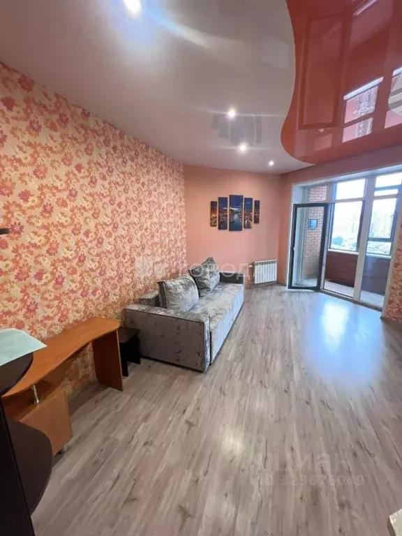 Студия Новосибирская область, Новосибирск 2-я Обская ул., 154 (30.9 м) - Фото 2