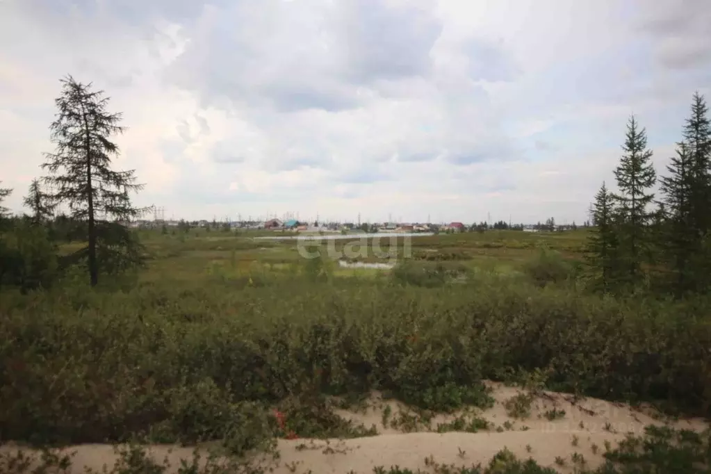 Участок в Ямало-Ненецкий АО, Новый Уренгой Оптимист ДПК, 6 (6.0 сот.) - Фото 1