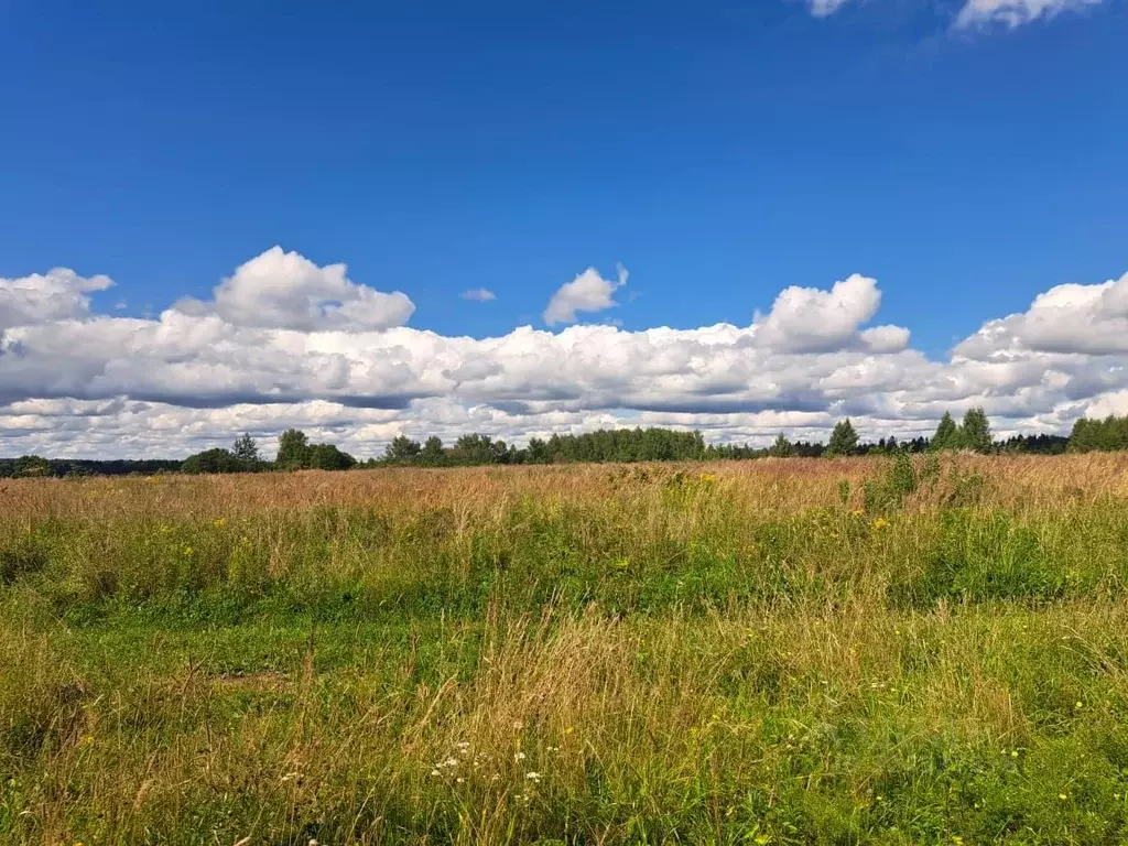 Участок в Московская область, Солнечногорск городской округ, Родники ... - Фото 1