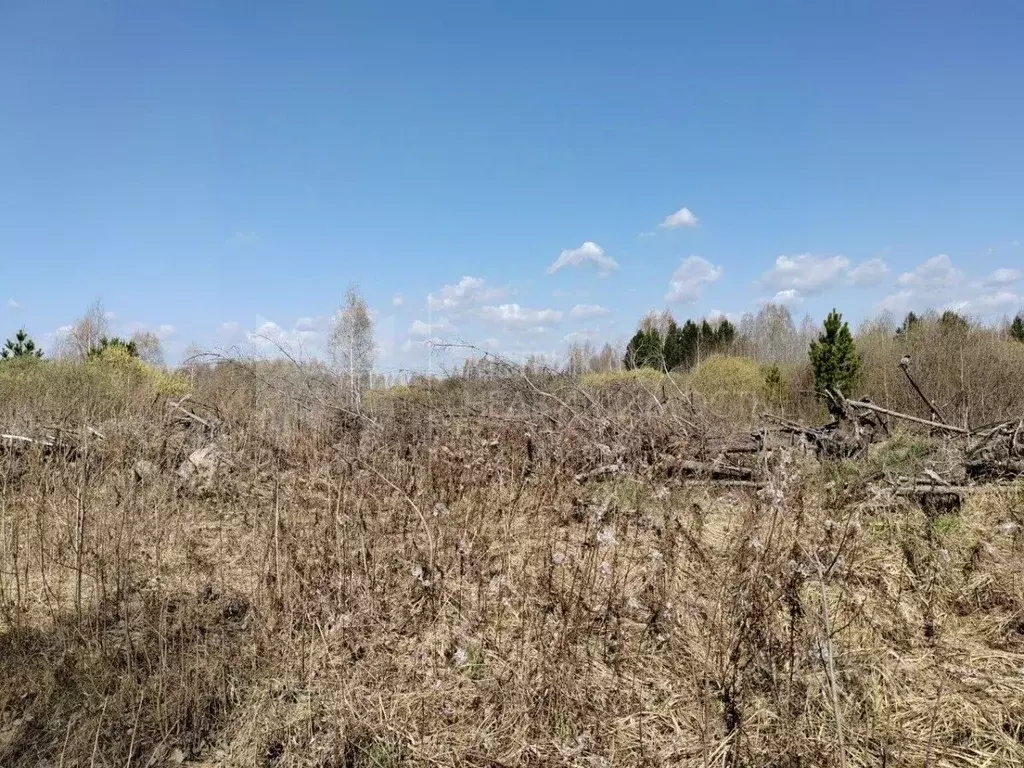 Участок в Тюменская область, Нижнетавдинский район, Березка СНТ  (8.0 ... - Фото 1