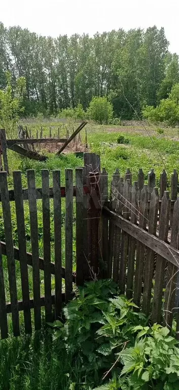 Дом 20,5 м на участке 42 сот. - Фото 1