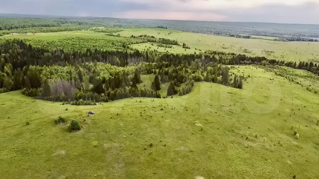 Участок 66,87 га (СНТ, ДНП) - Фото 0