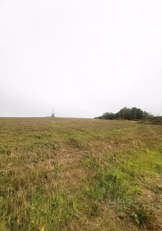 Участок в Тульская область, Веневский муниципальный округ, с. Марыгино ... - Фото 1