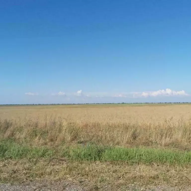 Участок в Крым, Бахчисарайский район, с. Вилино ул. Ленина (330.0 ... - Фото 1