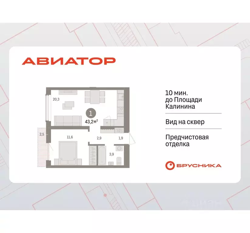 1-к кв. Новосибирская область, Новосибирск ул. Аэропорт, 88 (43.16 м) - Фото 0