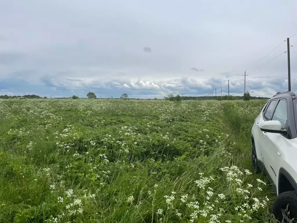 Участок в Ленинградская область, Ломоносовский район, Копорское с/пос, ... - Фото 1