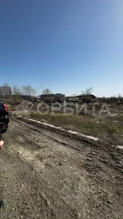 Участок в Тюменская область, Тюменский район, Винзили рп Заводская ул. ... - Фото 1