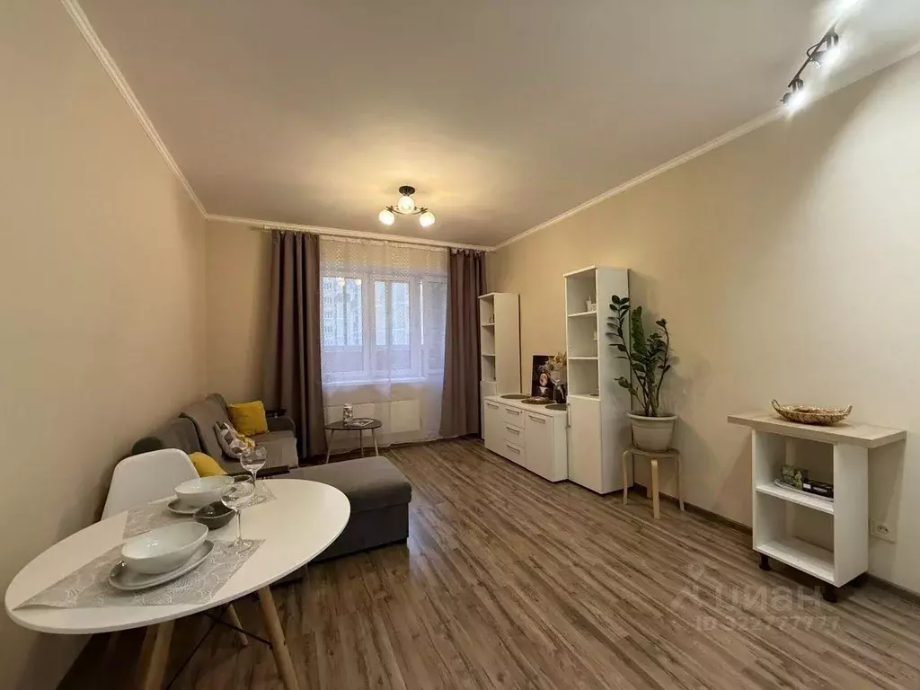 Студия Московская область, Ногинск Богородский городской округ, ул. ... - Фото 1