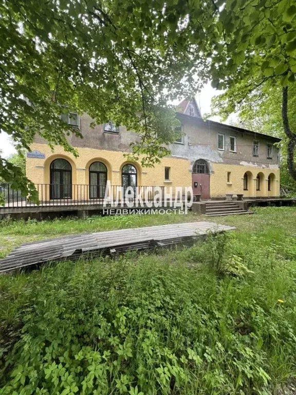 Студия Ленинградская область, Выборгский район, Советское городское ... - Фото 1