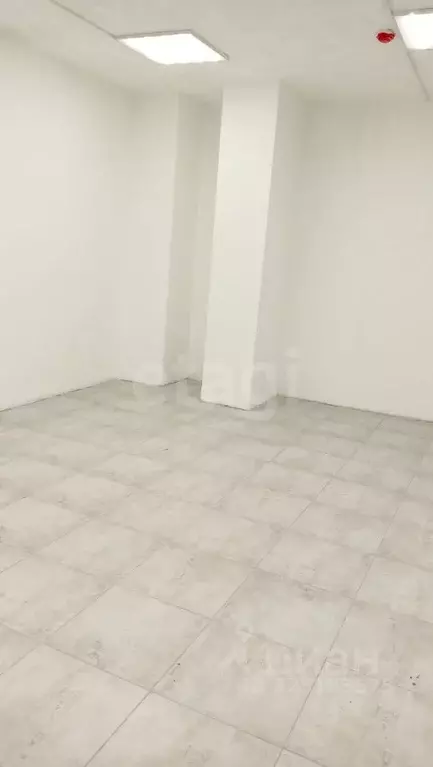 Помещение свободного назначения в Красноярский край, Красноярск ... - Фото 2