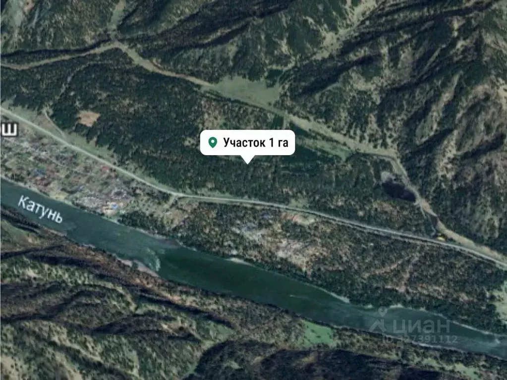 Участок в Алтай, Чемальский район, с. Чепош ул. Кучияк (1.0 сот.) - Фото 1