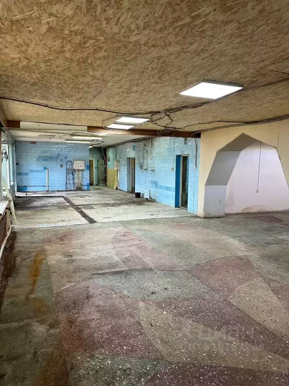 Помещение свободного назначения в Ставропольский край, Ставрополь ул. ... - Фото 1