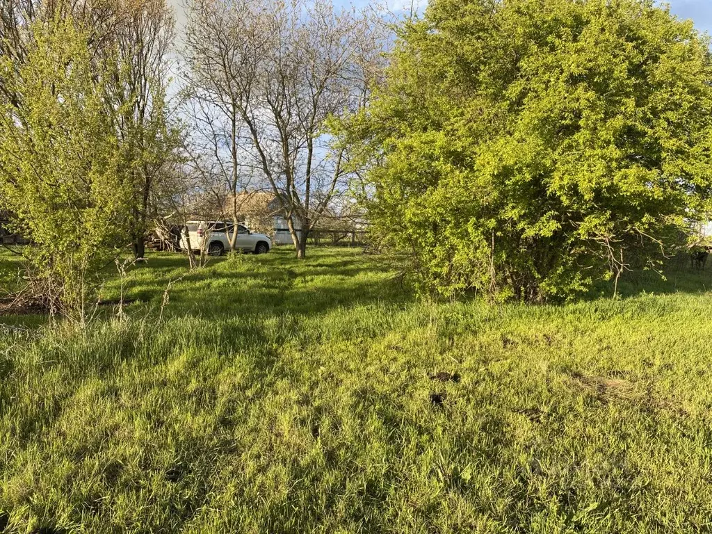 Участок в Краснодарский край, Красноармейский район, Новомышастовское ... - Фото 0