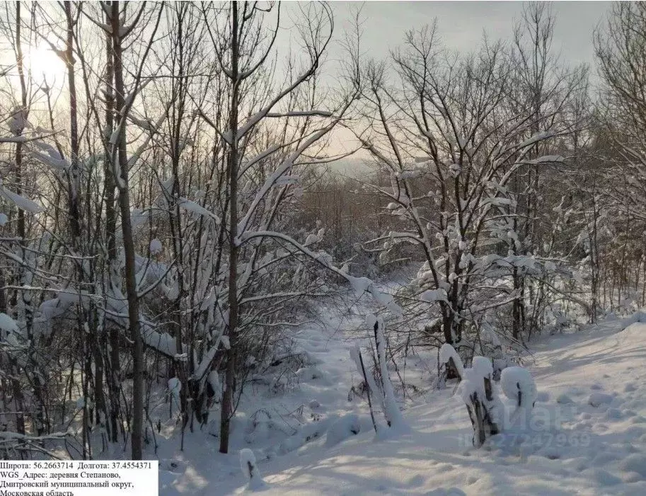 Участок в Московская область, Дмитровский муниципальный округ, д. ... - Фото 1